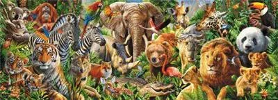 everythingcrossstitch-790358