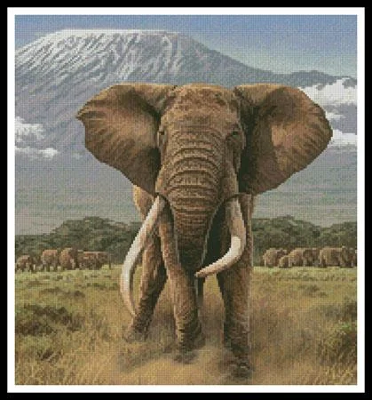 everythingcrossstitch-790526