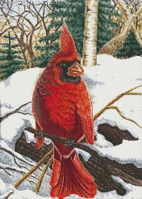 everythingcrossstitch-792025