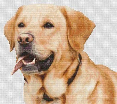 everythingcrossstitch-792628