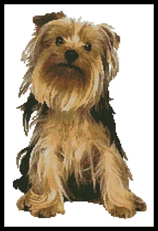 everythingcrossstitch-793031