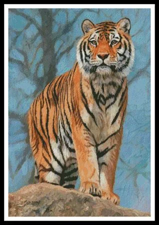 everythingcrossstitch-799525