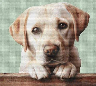 everythingcrossstitch-799537