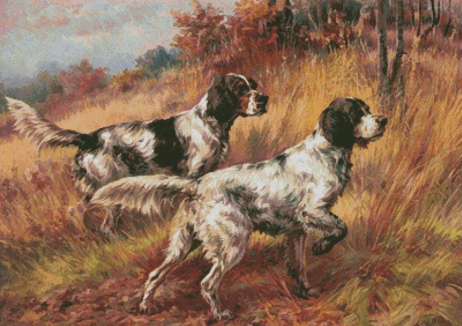 everythingcrossstitch-799601