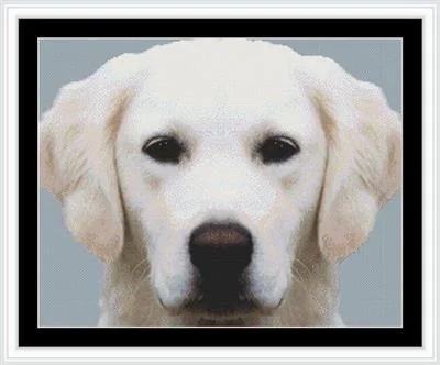 everythingcrossstitch-800346