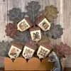 everythingcrossstitch-852339