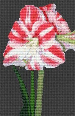everythingcrossstitch-854488