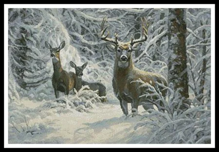 everythingcrossstitch-857337