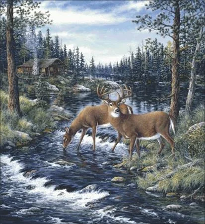 everythingcrossstitch-857499