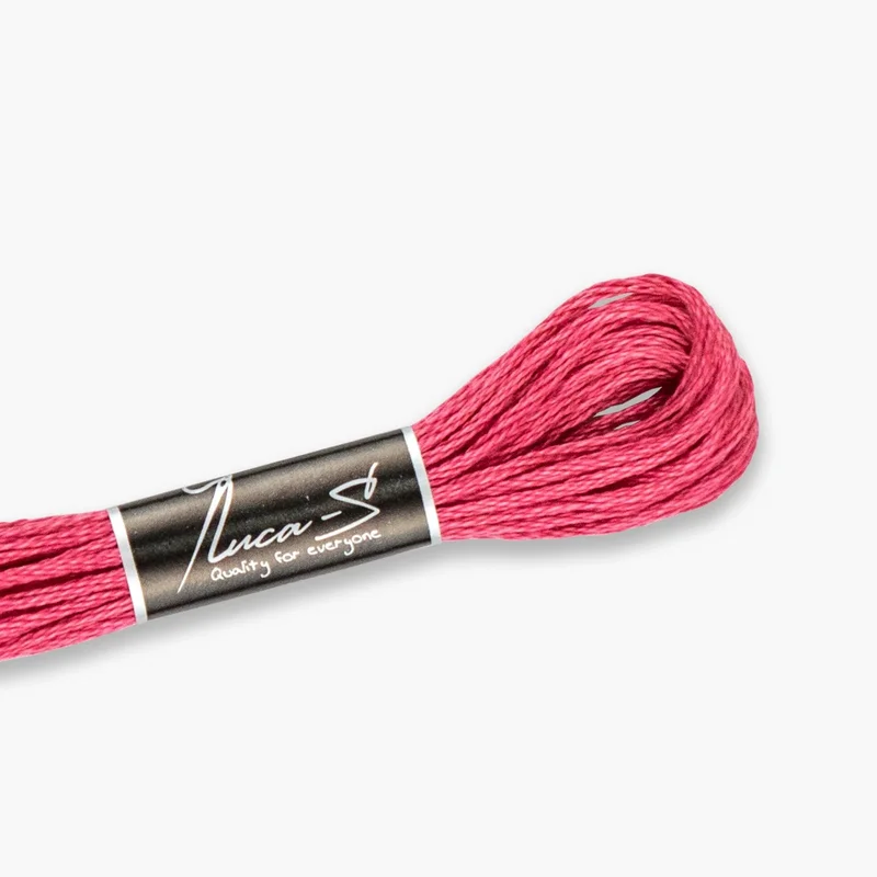 luca-s481441