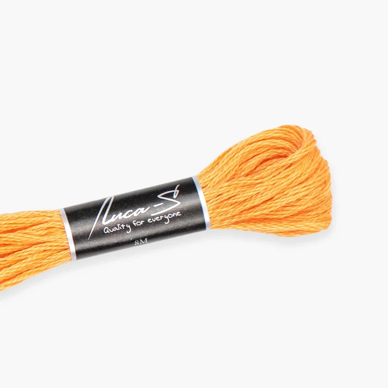 luca-s483427
