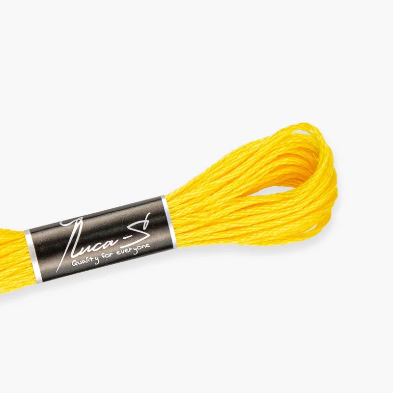 luca-s484235