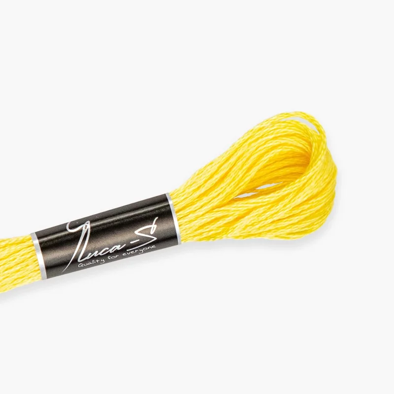 luca-s484250