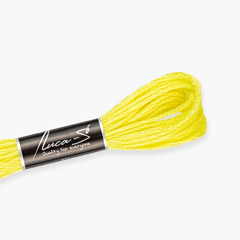 luca-s484379