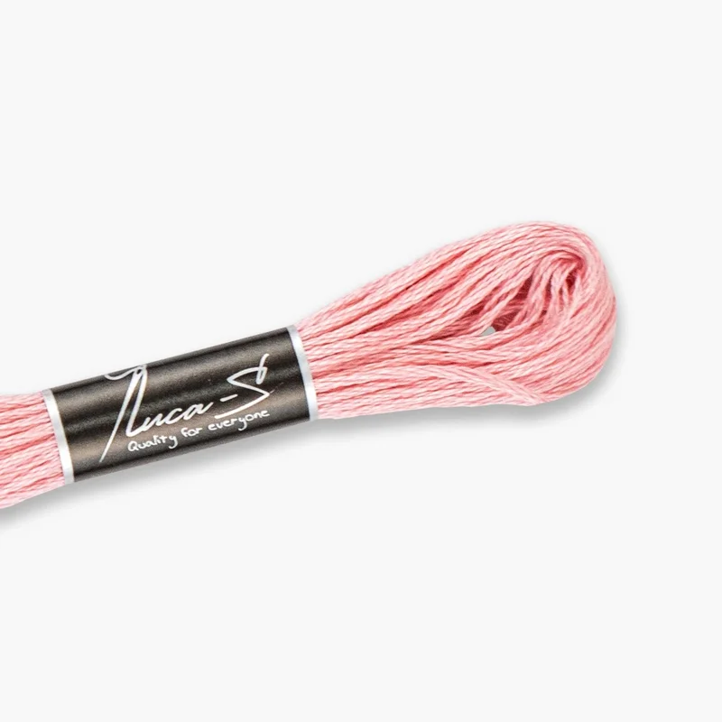 luca-s486102