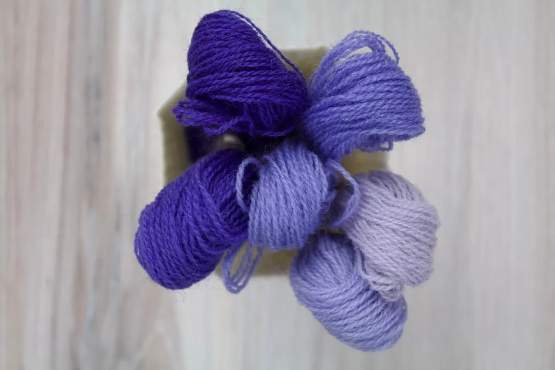 thebluepeony482179