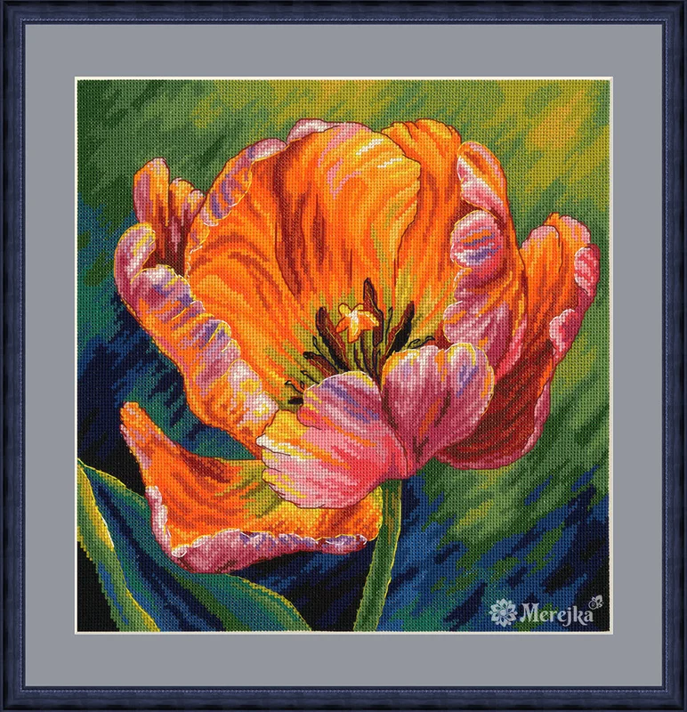 wizardi21425087
