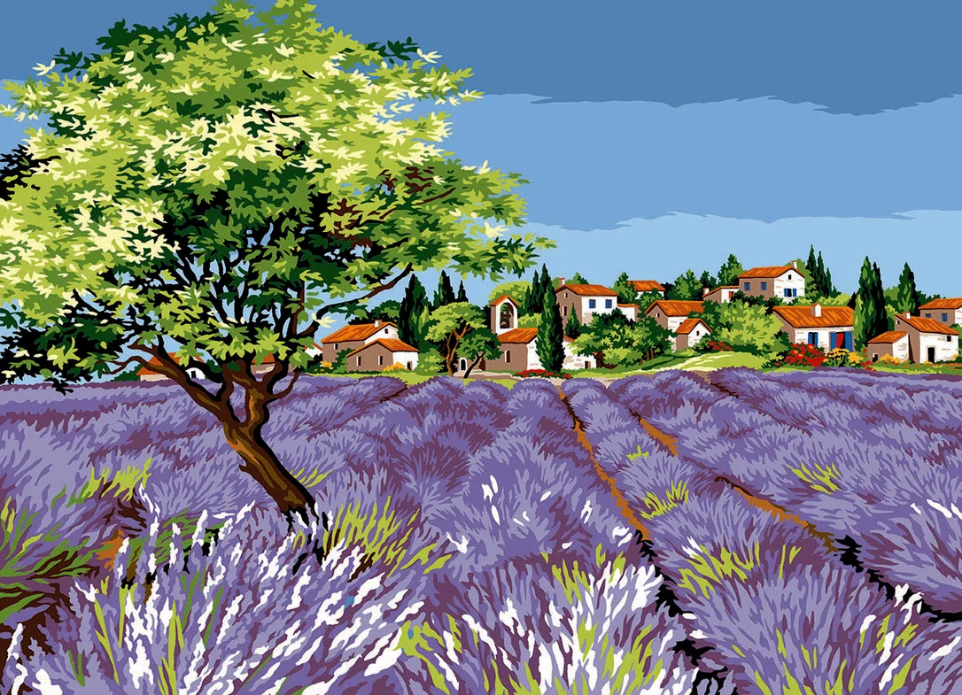 wizardi2720298