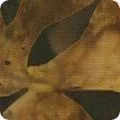 yoderdepartmentstore1514708