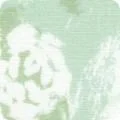 yoderdepartmentstore1514984